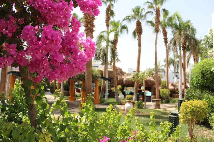 Herrmes Hostel اجانب فقط - Image 1