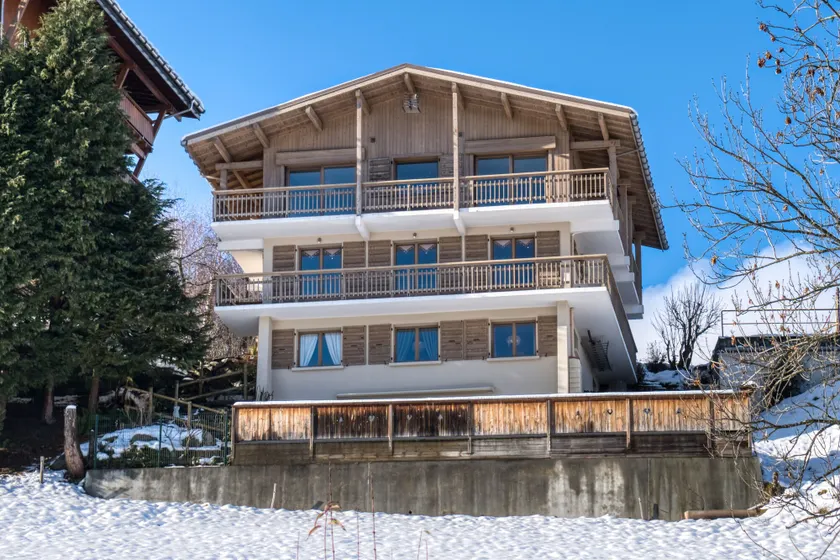 Chalet NESSA - Combloux - Image 1