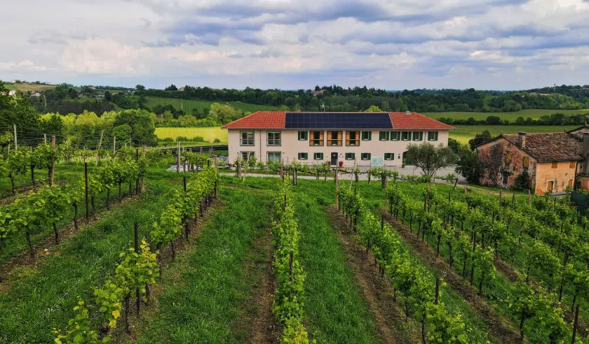 Tenuta Mani Sagge - Image 1