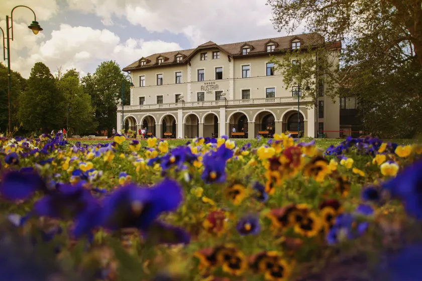 Hotel Austria & Bosna - Image 1