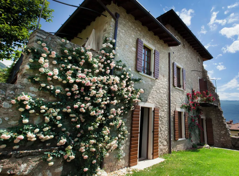 Residence Fondo La Campagnola - Image 1