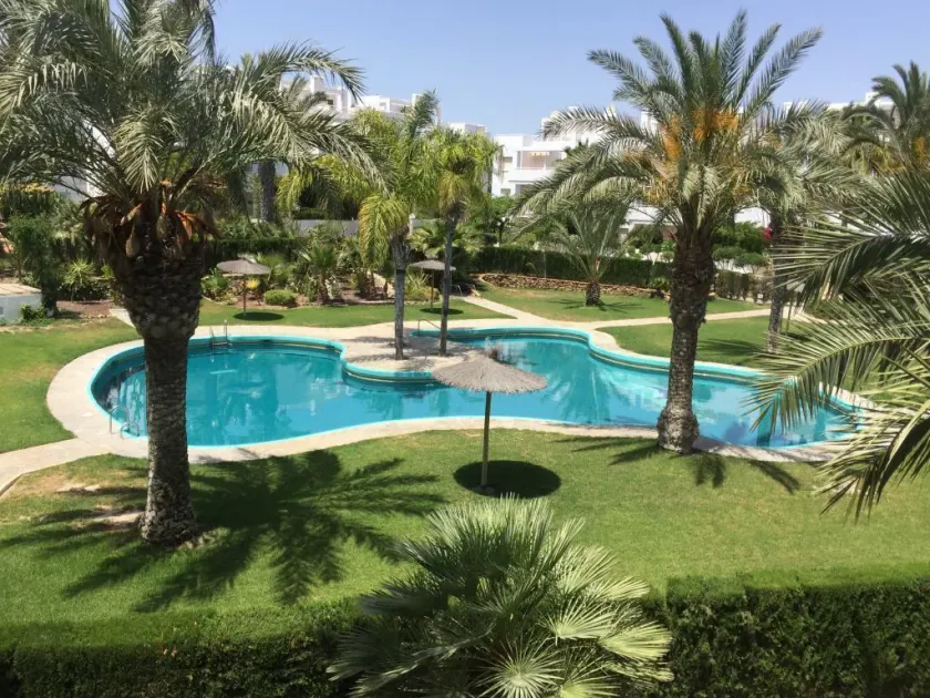 1033 Apartamento la Palmera - Image 1