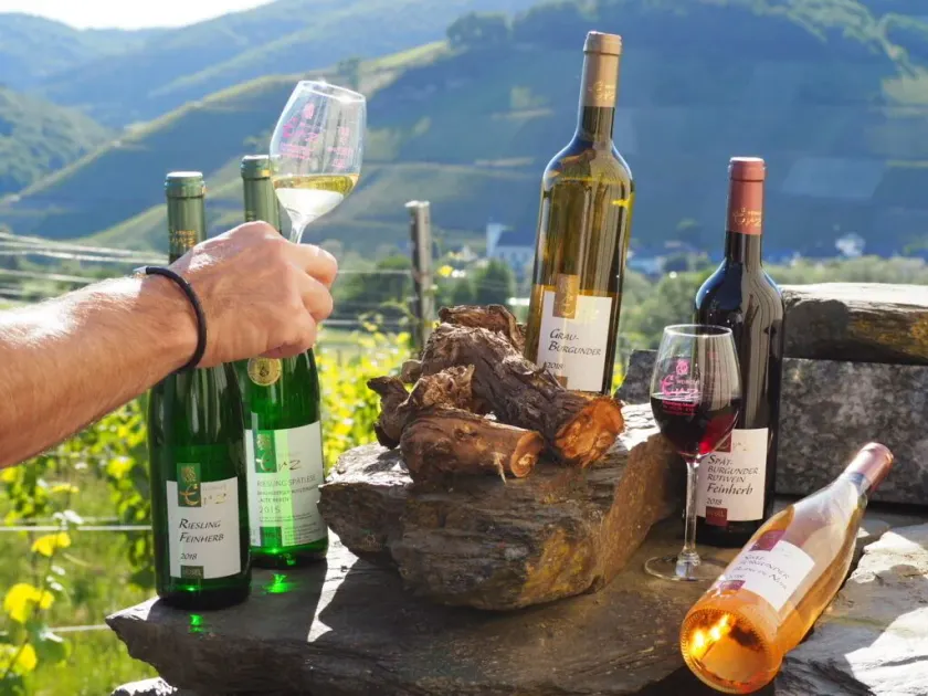 Weingut & Gästehaus Andreas Erz - Image 1