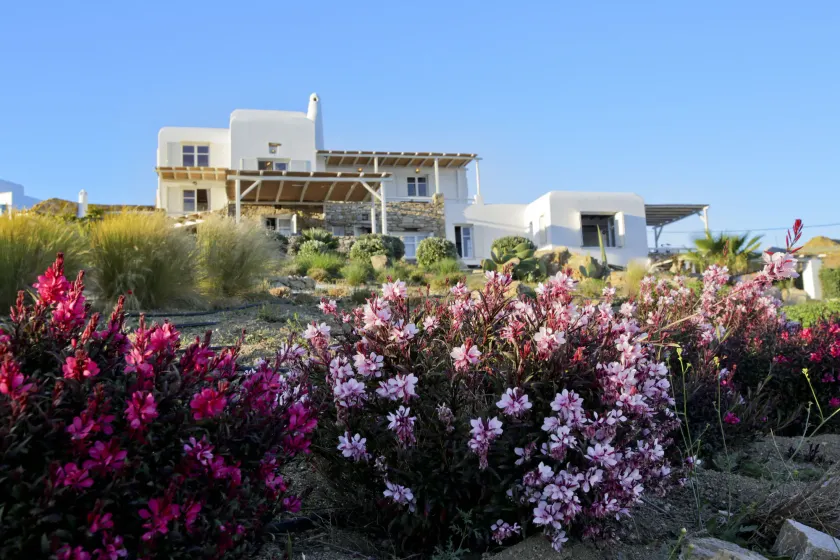Salty Houses - Image 1