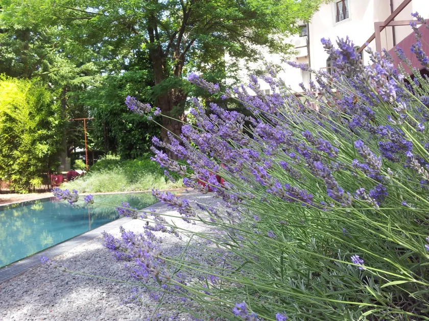 Hotel Clocchiatti Next - Image 1