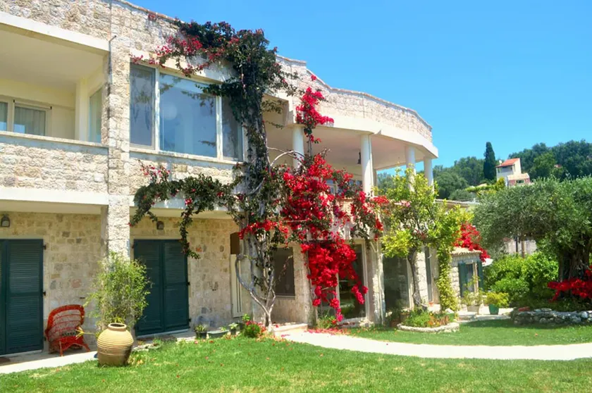 House Lemoni, Apartment B - Pelekas, Corfu - Image 1