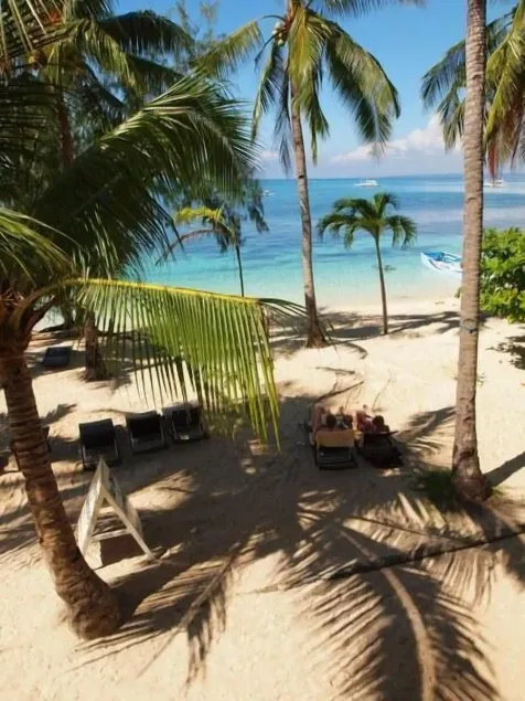 Ocean Vida Beach and Dive Resort - Image 1