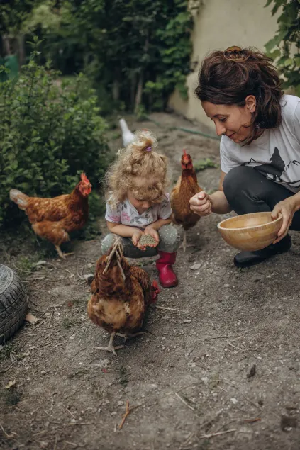 B&B Naturin - Vegan Eco Farm - Image 1