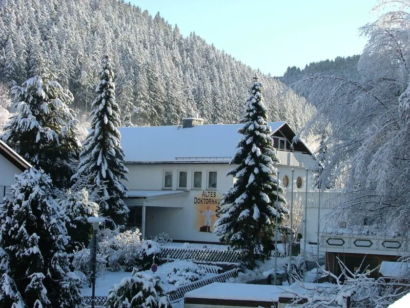 Altes Doktorhaus - Hotel Garni - Image 1