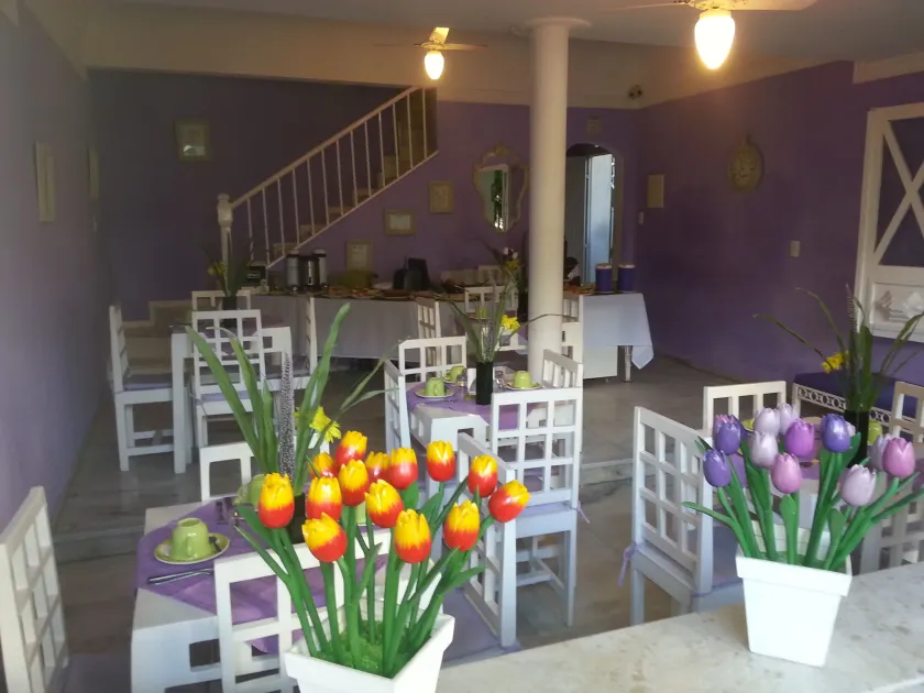 Hotel Pousada Papaya Verde - Image 1