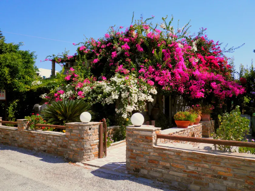 Dimitra Studios - Image 1
