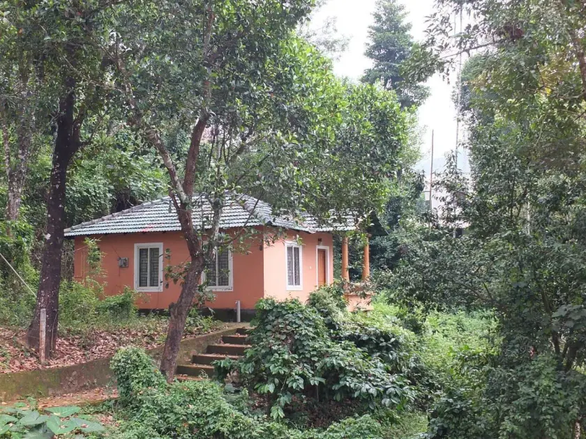 JUNGLE VALLEY AYURVEDIC SPa RESORT - Image 1
