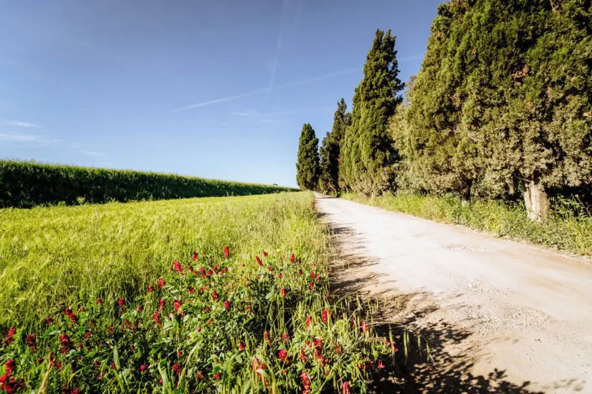 Agriturismo Bio San Mamiliano - Image 1