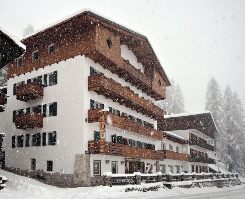 Hotel Des Alpes - Image 1