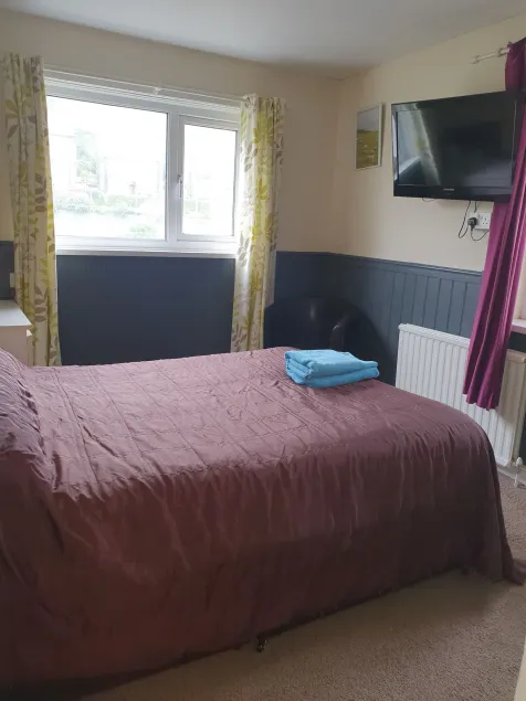 Llwynygog Guest House - Image 1