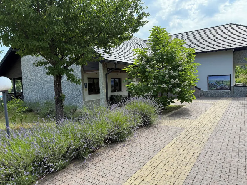 Villa Stone - Image 1