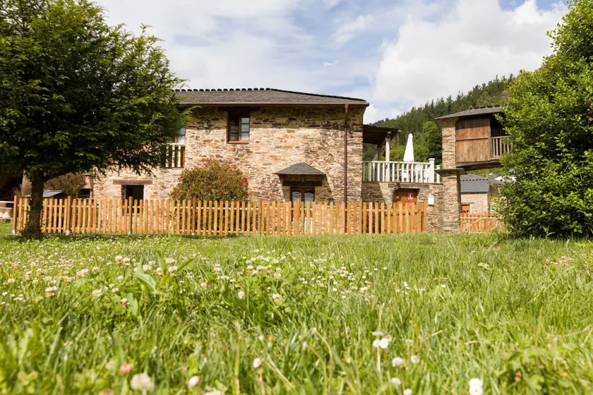 Tareira - Image 1