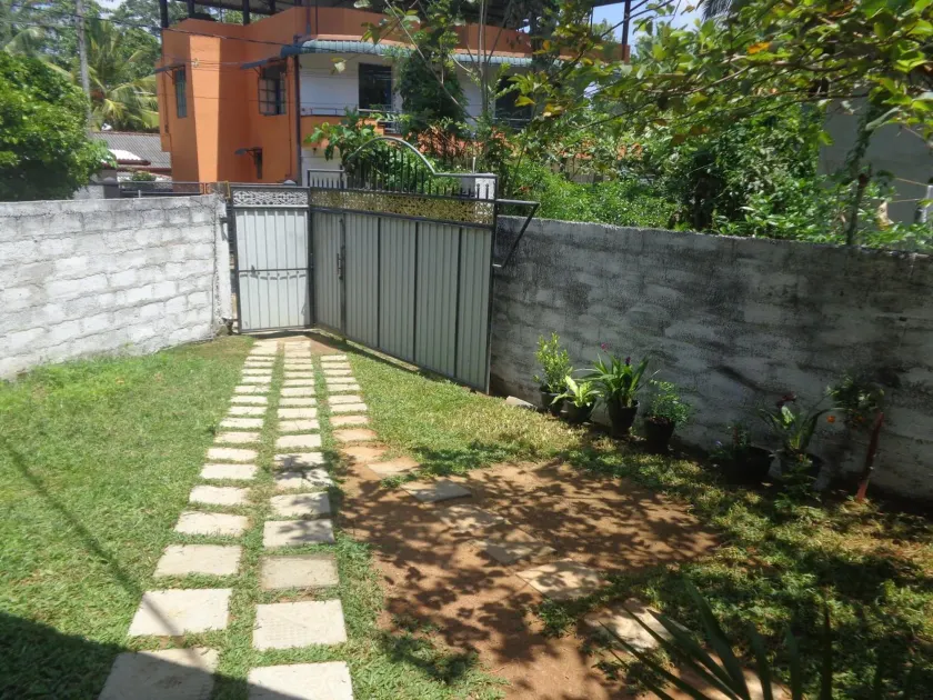 DiNi Galle - Image 1