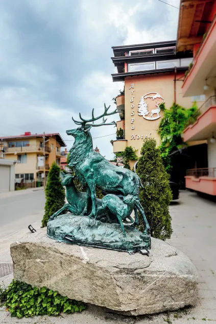 Ardo Spa Hotel and Restaurant - Image 1