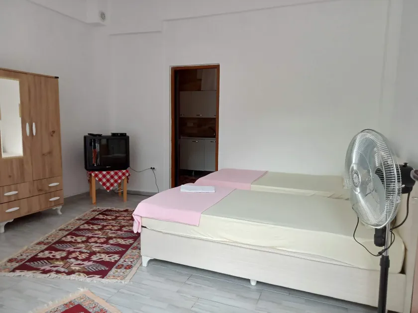 Assos Gunoven & Butik Apart Otel - Image 1