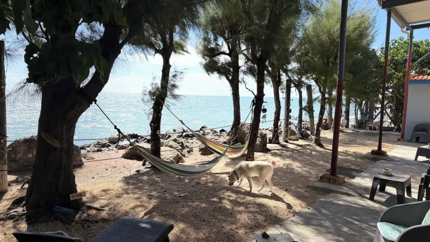 The Place at the Sea - Image 1