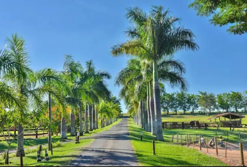 Hotel Fazenda Jacaúna - Image 1