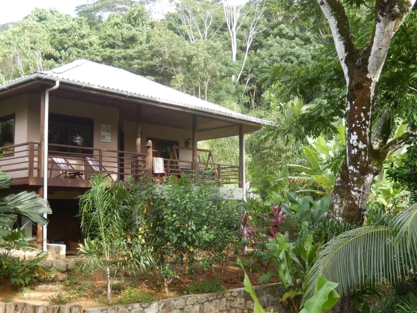 A Peace In Paradise - Image 1