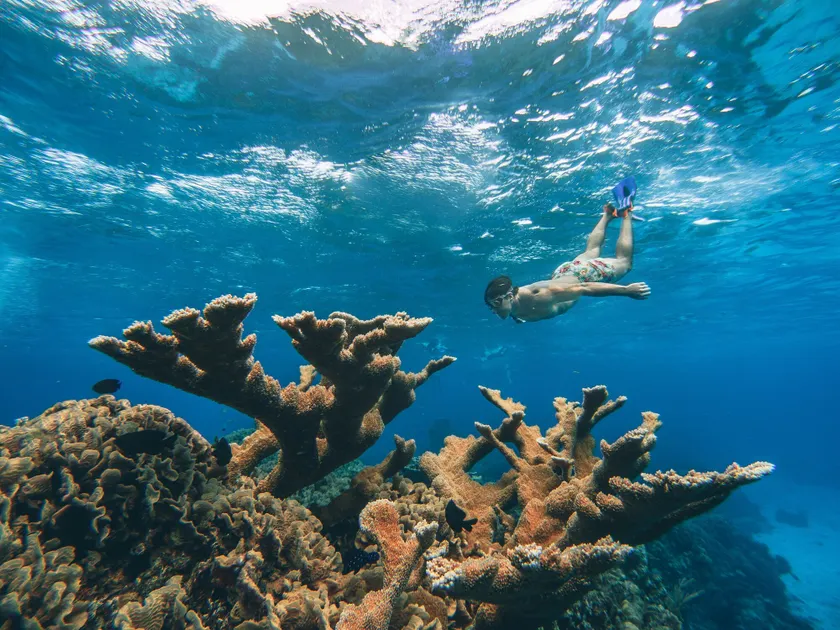 The Explorean Cozumel All Inclusive - Image 1