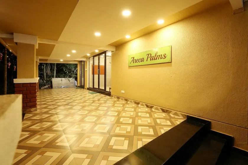 Areca Palms - Image 1