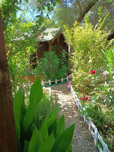 Canario Bungalows - Image 1