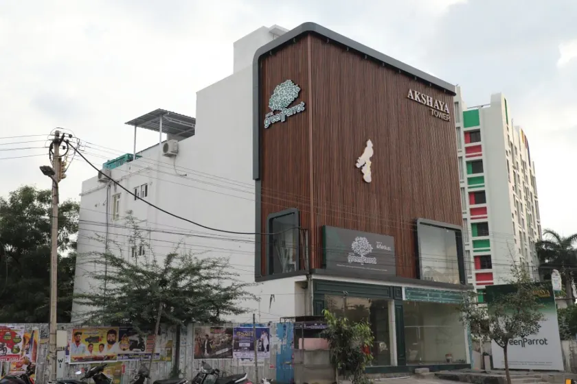 Hotel Green parrot - Image 1
