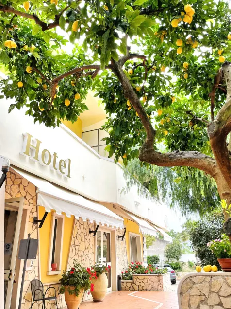 Yellow Park Hotel - Image 1