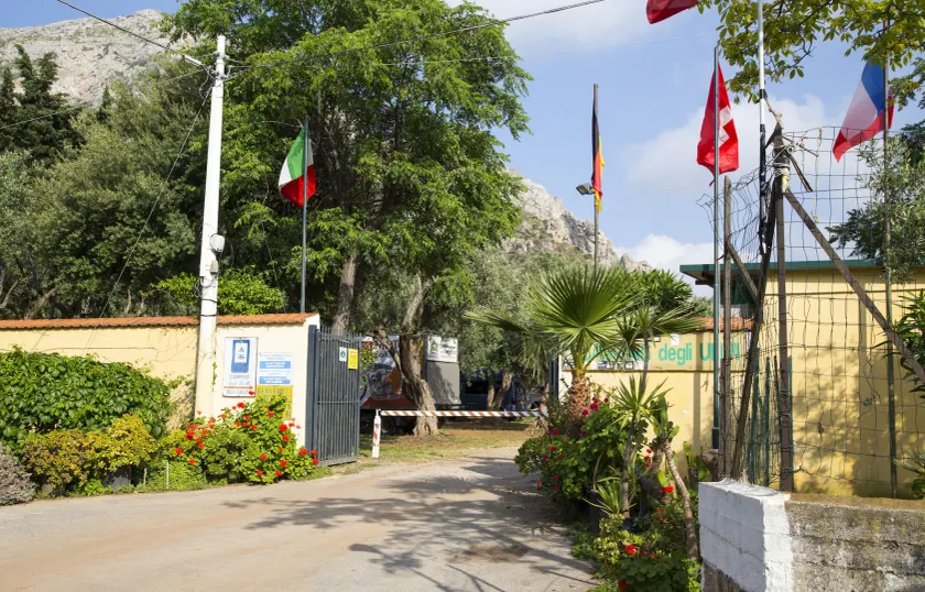Camping Degli Ulivi - Image 1