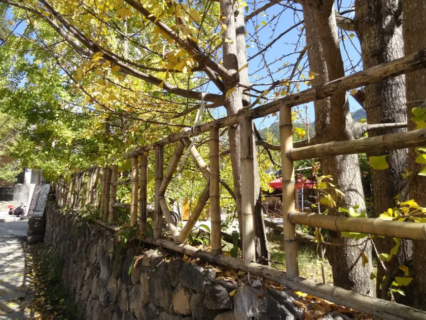 Tengchong Ginkgo Village Bencai Hotel - Image 1