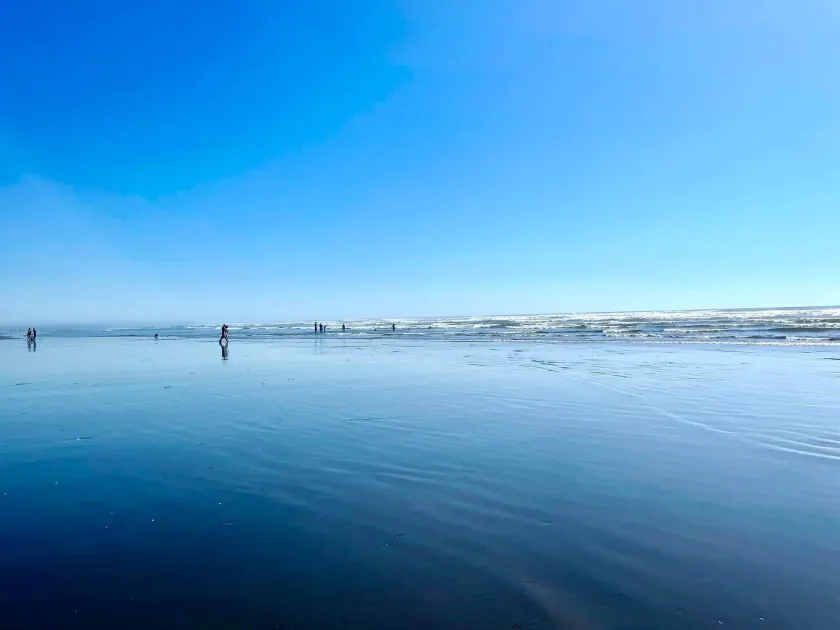 Arena del Mar - Image 1