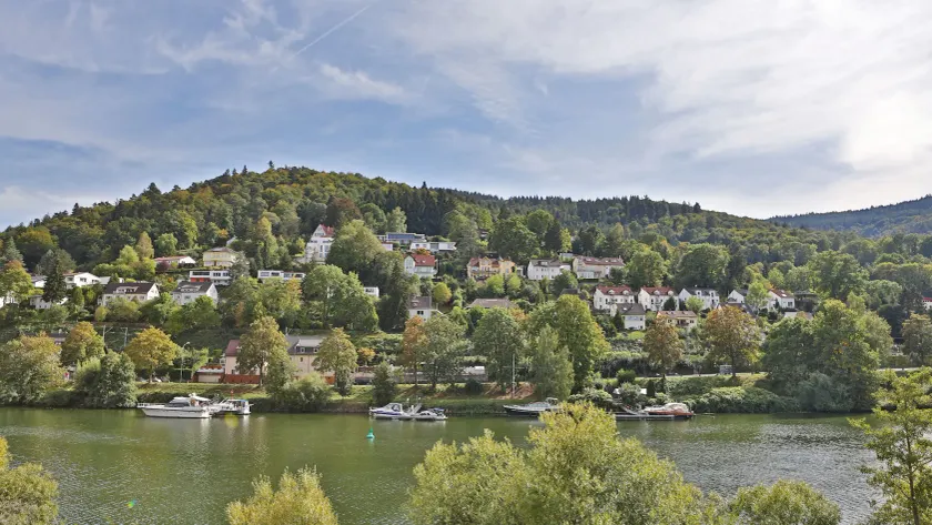 Hotel Neckarlux - Image 1