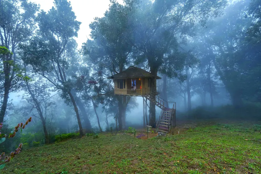 Nature Zone Munnar - A Real Jungle Resort - Authentic Tree House and Premium Tents - Image 1