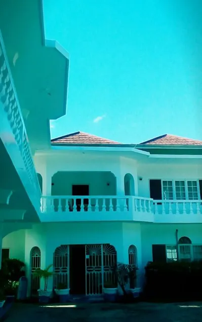 Palm Tree Guest House - Image 1