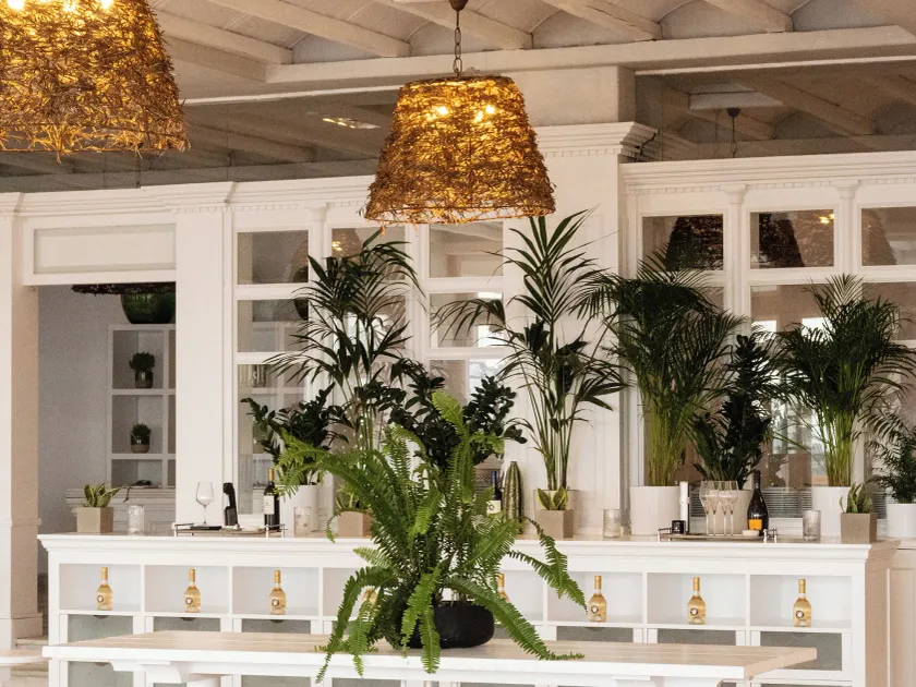 Mykonos Blu, A Grecotel Resort to Live - Inngangsparti