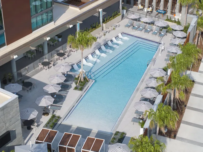 Hilton Jacksonville at Mayo Clinic near Beaches - Image 1