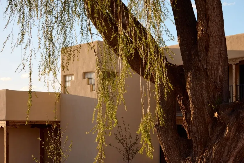 Hotel Willa - Image 1