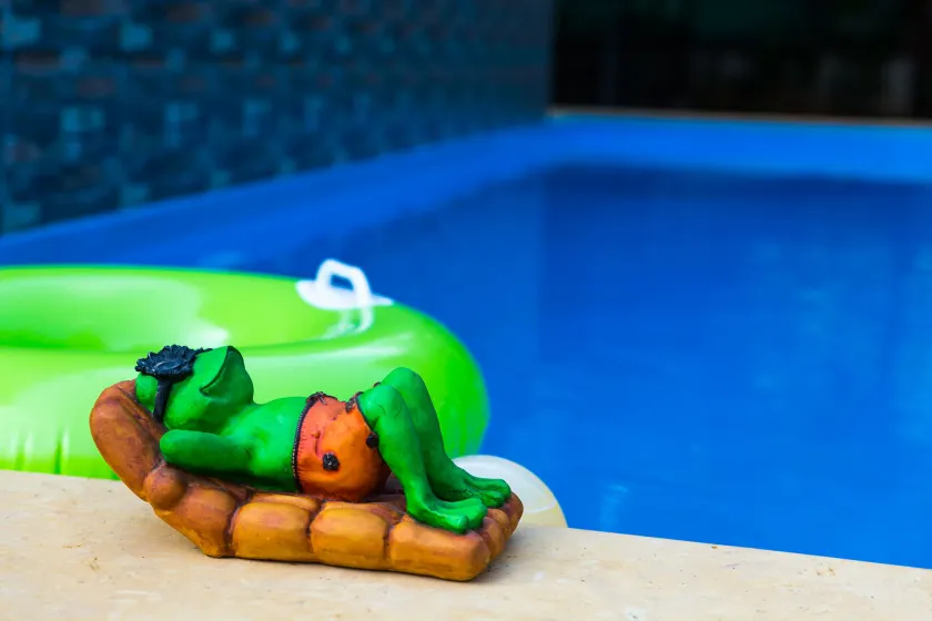 Lazy Frog Guest House - Image 1