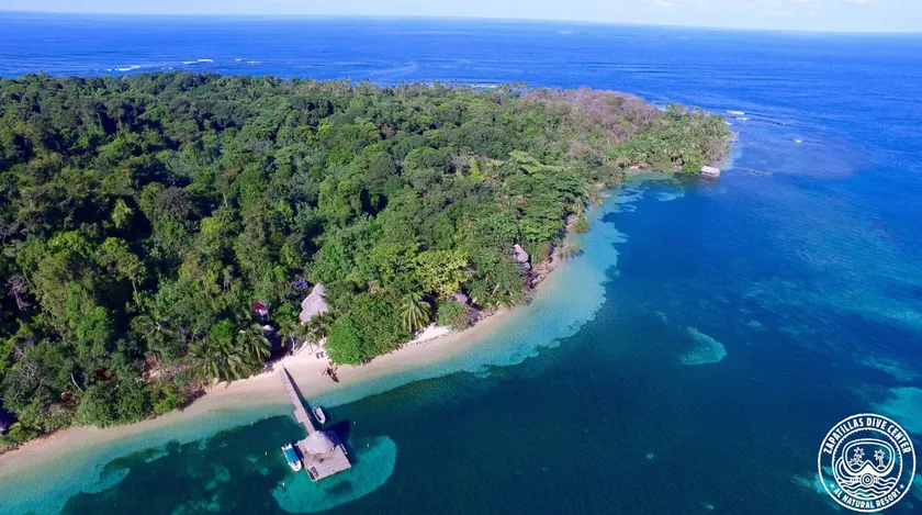 Al Natural Resort - Image 1