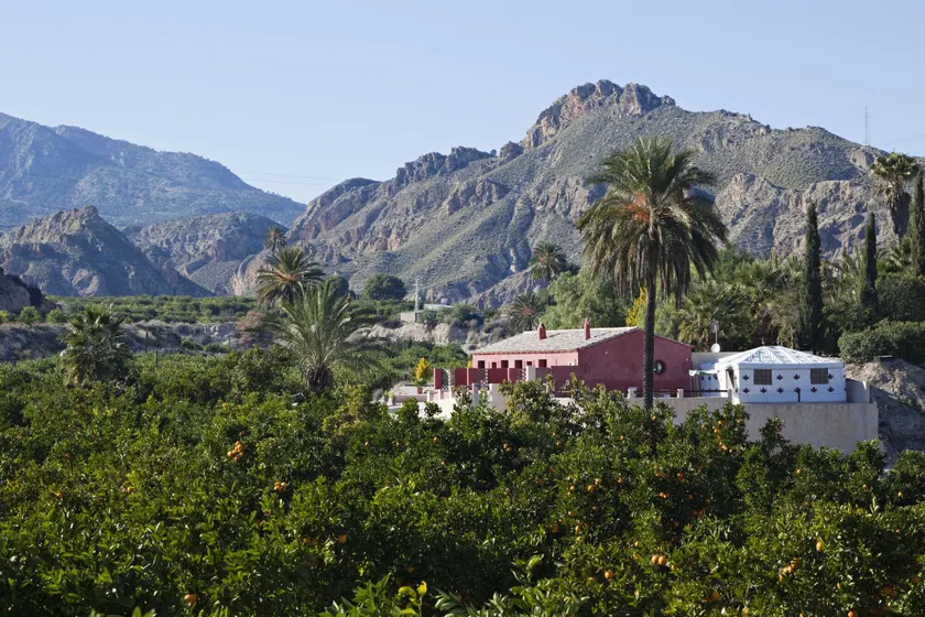 La Joya del Valle de Ricote - Image 1