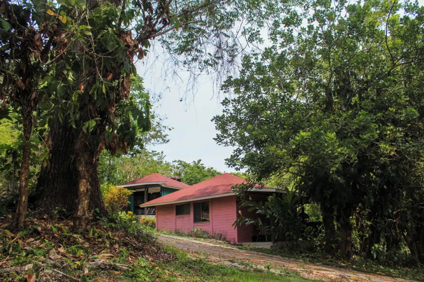 Winíka Alterra - Image 1