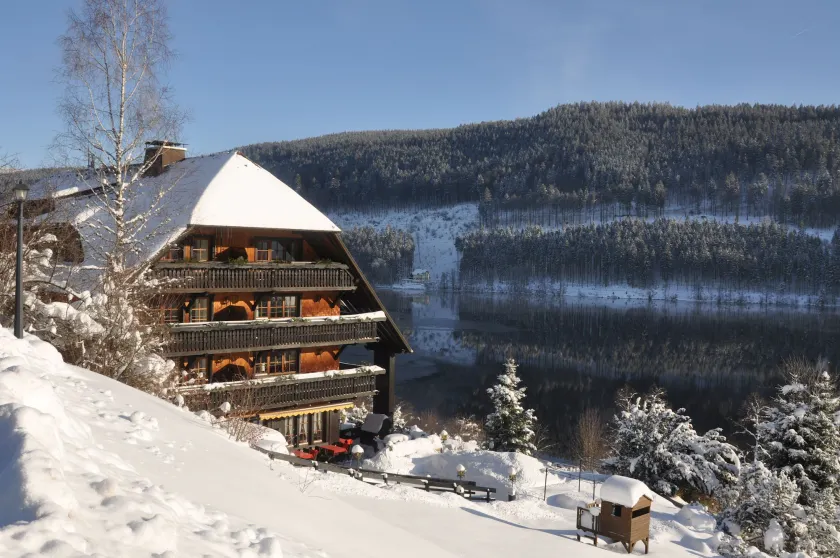 Alemannenhof - Boutique Hotel am Titisee - Image 1