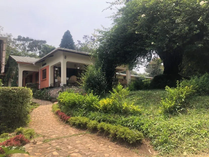 Ruwenzori View Guest House - Image 1