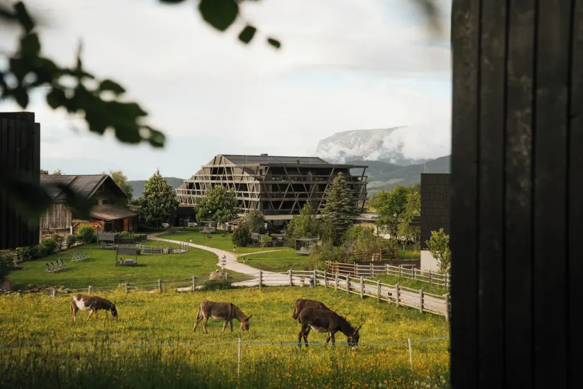 Green Luxury Hotel Pfösl - Image 1