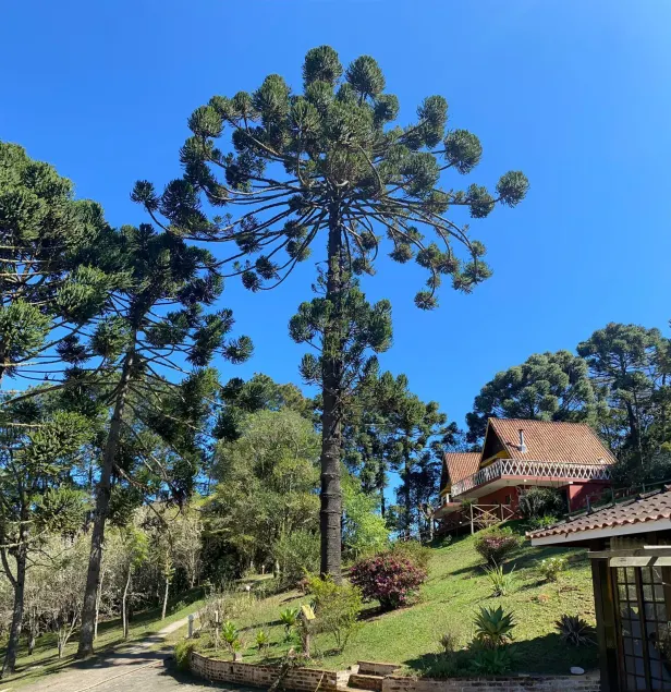 Pousada Sotaque Mineiro - Image 1
