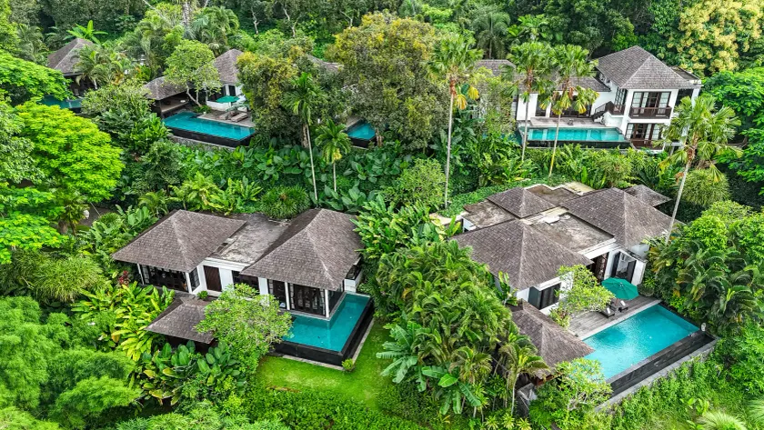 The Damai - Image 1